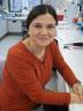Prof. Dr. Anne Navarrete Santos