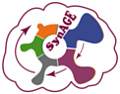 The Ageing Synapse -, Molecular, Cellular and Behavioral Underpinnings of Cognitive Decline