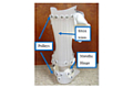 Design and evaluation of a novel dynamic ankle-foot orthosis using silicone/SMA materials
